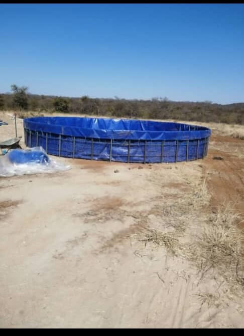Decorative Fish Ponds for Marondera Gardens